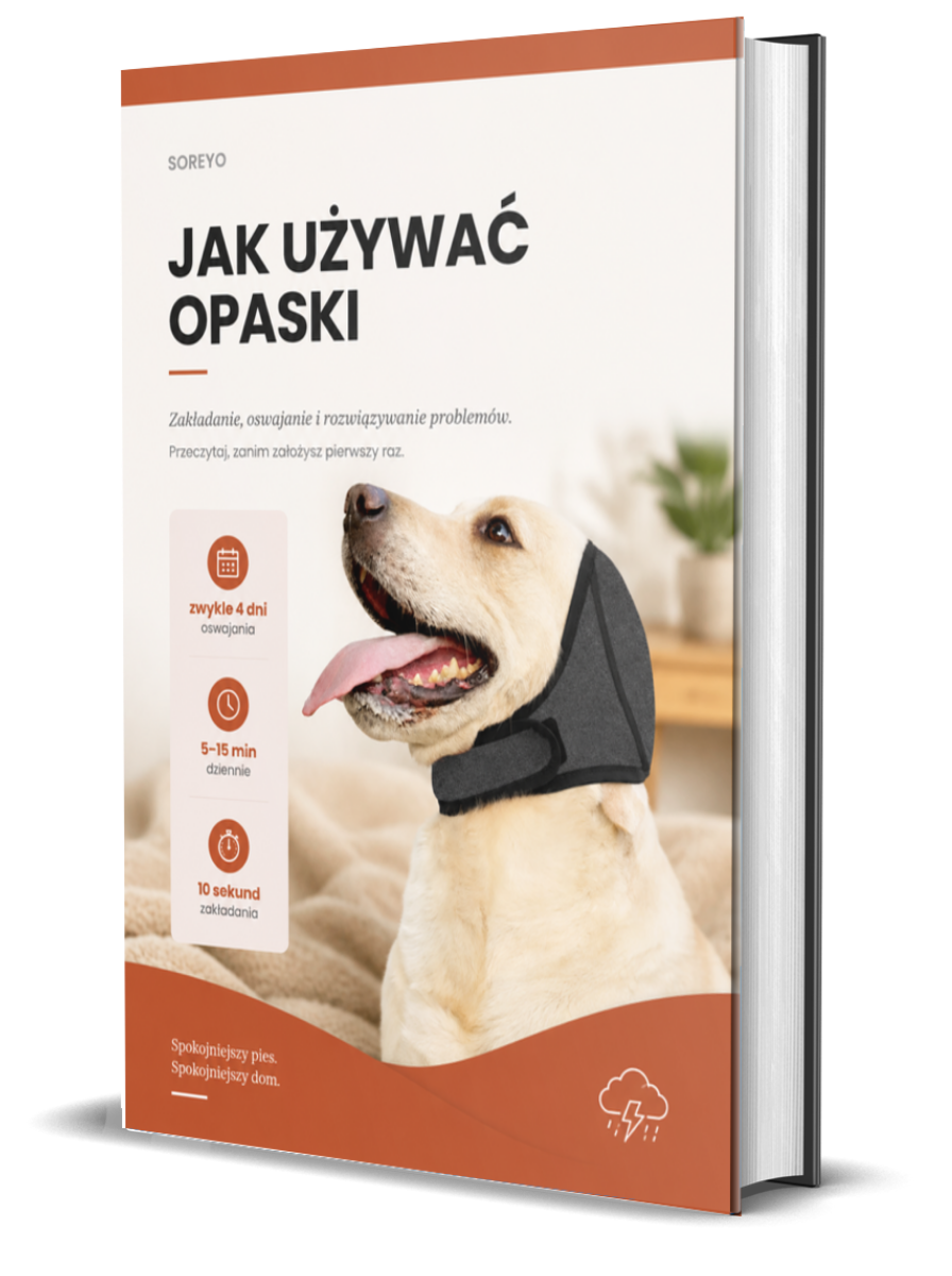 Poradnik: Jak Używać Opaski
