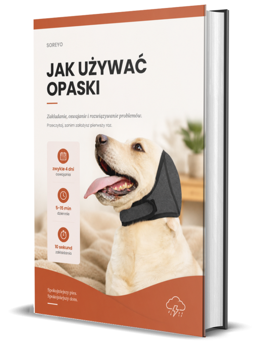 Poradnik: Jak Używać Opaski